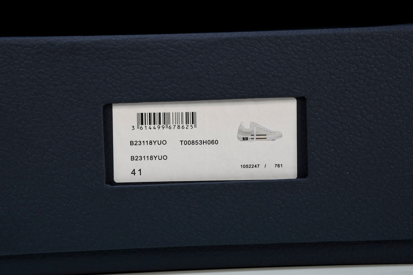 D1or B23 Skater Low 'Oblique'